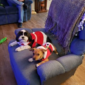 Meet your Posher, Cathy